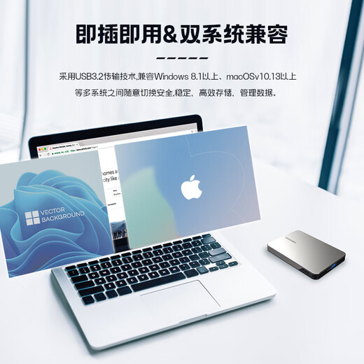 东芝（TOSHIBA）Mac 移动硬盘1t 2t 4t flex 适用Macbookpro 非固态 2TB 官方标配：收纳包+硅胶套+原装线+Typec转接头