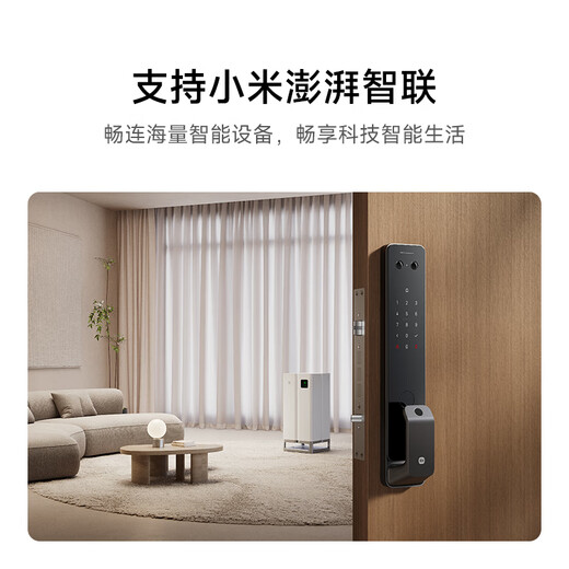 Xiaomi serrure de porte intelligente 2 veine de doigt version améliorée empreinte digitale veine de doigt oeil de chat serrure à code visuel serrure électronique