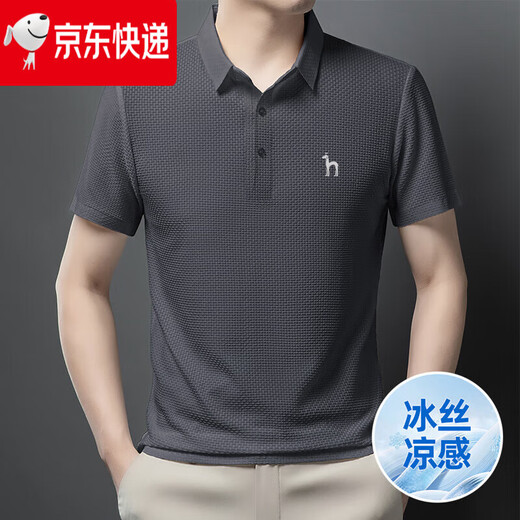 HAZZYS哈吉斯新款男士夏季翻领冰丝短袖T恤商务休闲POLO衫男短袖休闲T恤 卡其色 6173 M 105-125