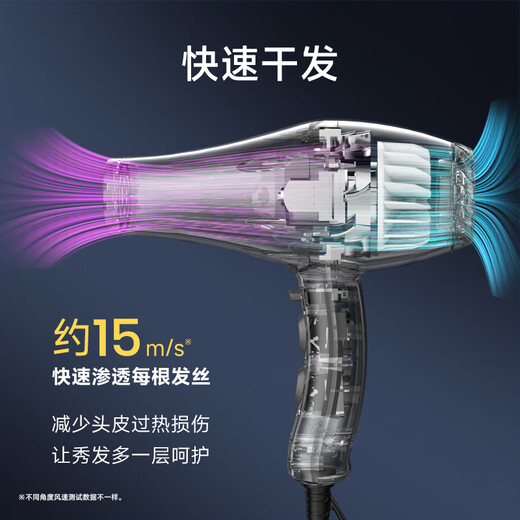 Fire Phoenix Hair Dryer Home Negative Ion High Power 2200W Hair Salon Special High Wind Quick Drying Barber Shop High Speed Constant Temperature Hair Care Does Not Damage Hair Low Noise Hair Dryer 8960H Blue Parrot 8960