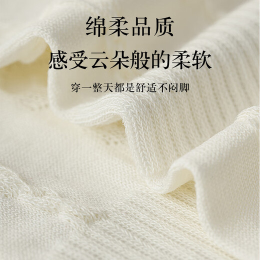 Shupao Socks Women's Spring and Summer Cotton Socks Summer Thin Breathable and Sweat-wicking Women's Socks 2025 New Girls and Children's Socks 5 Colors 1 Pair One Size Female (34-39)