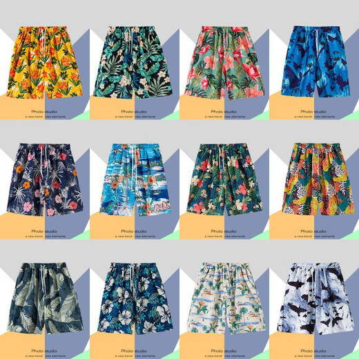 ConNORTON travel loose large size trendy beach pants men's quick-drying five-point casual pants Sanya island vacation shorts South T6626 pants M