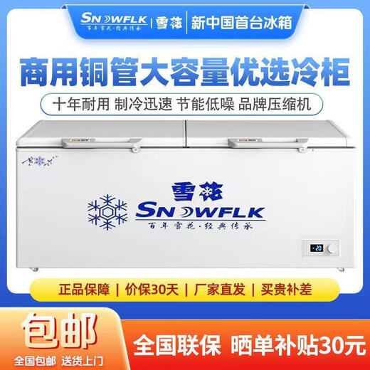 Schneeflocken-Gefrierschrank, Einzeltemperatur-Gefrierschrank, gewerblicher Haushaltskühlschrank mit großer Kapazität, Stufe 1, 1048-Digitalanzeige-Upgrade, Einzeltemperatur-Doppeltür-Gefrierschrank