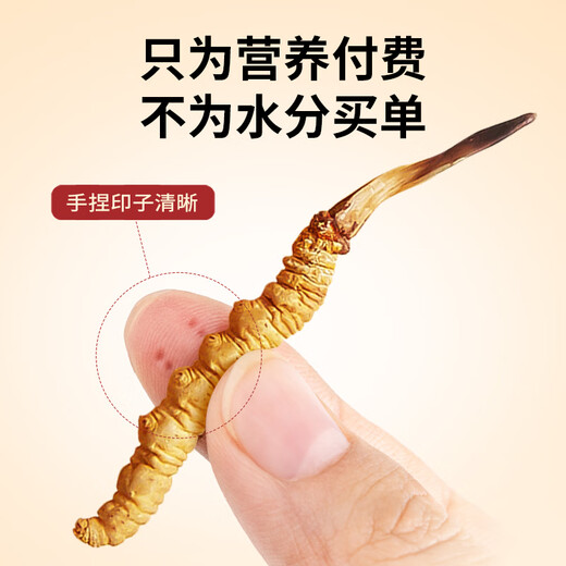 
Tongfu Cordyceps sinensis 3 roots/g 20g 60 roots gift box, nourishing nutritional supplements, gifts for elders