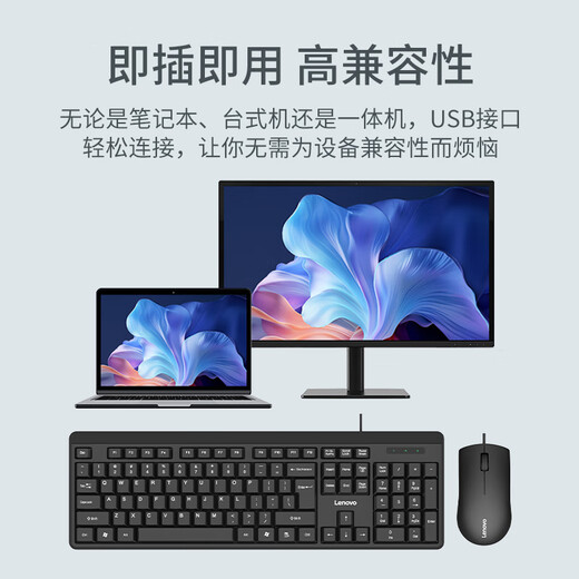 联想（Lenovo）KM210键盘鼠标套装 有线键鼠套装 全尺寸商务办公  笔记本电脑键盘台式机一体机 黑色