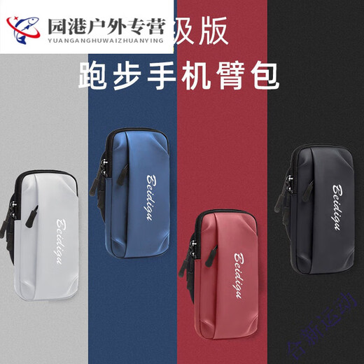 Zailu mobile phone bag arm sports arm bag mobile phone bag running equipment storage bag arm sleeve arm bag men and women arm bag blue breathable sweat-absorbent upgraded FX model