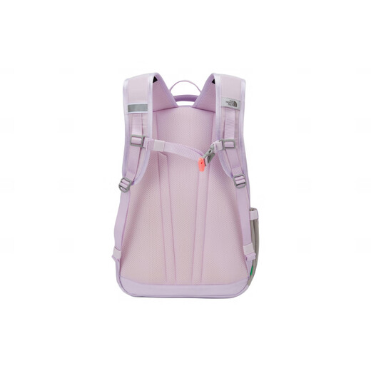 Das North Face Front -Logo bedruckte Nylon Schoolbag Rucksack Rucksack Männer und Frauen gleiche Stil Paare grau lila grauer Lilac