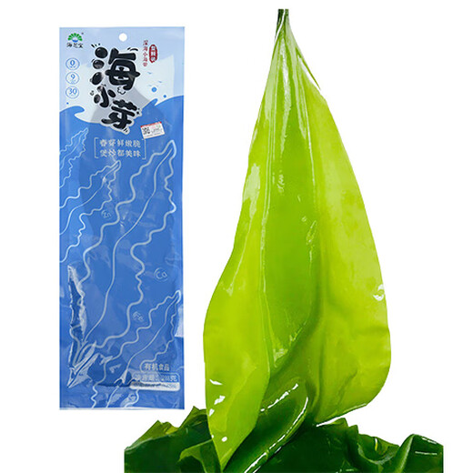 海芝宝荣成海带 有机深海小海带 288g*2袋 饭包涮锅火锅 聚餐