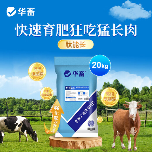 Huazhu 4% beef cattle fattening compound premix bovine peptide energy growth compound weight gain vitamin trace element feed 1 bag 4% beef cattle and sheep fattening premix 40Jin Jin equals 0.5kg