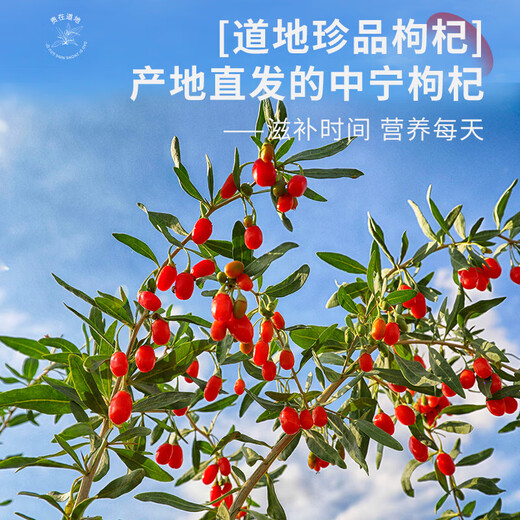 
Ningxia wolfberry, red wolfberry, Zhongning first new wolfberry, special grade 250g*2 bags