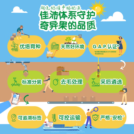 Zespri New Zealand Sunshine Gold Kiwi Fruit 25-27 pieces original box extra large fruit single fruit about 122-146g kiwi fruit