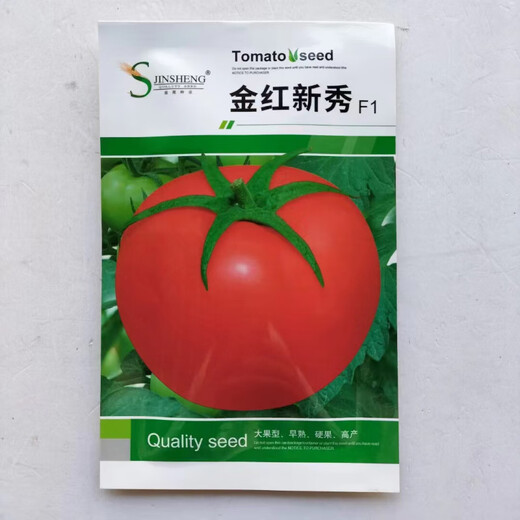 Jinshi Pink Jade Tomato Seed Boyu Tomato Seed Anti-Virus Pink Cold-resistant Large Fruit High Yield Taste Golden Red Rookie Original 5g