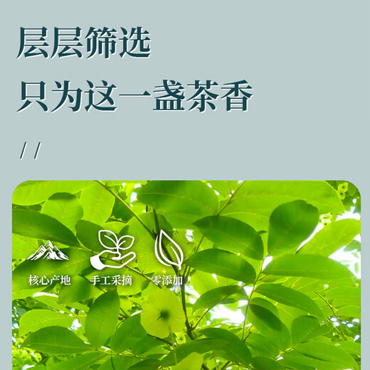 
Liyuan Three Treasures [Hot Sale] The King of Sugar Control Gift Box Qingqian Liucha Zhangjiajie City Soy Selling Three Highs Buy 60g