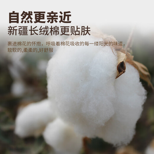 Keruorina Xinjiang first-grade long velvet quilt pure cotton quilt quilt core winter quilt cotton mattress quilt quilt bottom cotton handmade Xinjiang cotton quilt 6Jin [Jin equals 0.5 kg] 150x200cm