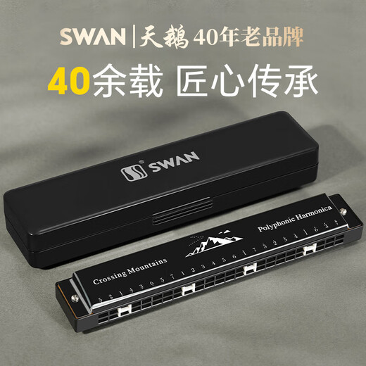 天鹅（SWAN）28孔复音口琴初学者入门学生专业演奏口琴C调黑色