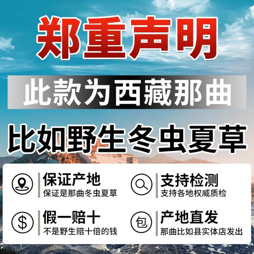 东仔【西藏那曲】野生冬虫夏草高海拔野生虫草断草滋补品礼盒送长辈 【西藏那曲野生】小号断草-自用滋补 5克（礼盒装）