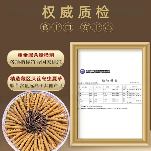 
Cordyceps sinensis cordyceps gift box 2 pieces per gram of Cordyceps dry goods Cordyceps supplement gift gift 50 pieces 50 pieces [3 pieces 1 grams] Gift box Cordyceps
