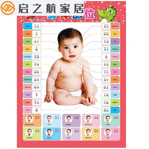 Kinder in der frühen Bildung Aufklärung der Welt für Babys für Babys, um chinesische Charaktere, Kinder zu erkennen, um Bilder zu lesen und Alphabetisierung leise, braun, gerillt, chinesische Charaktere, Stroke, Striche,