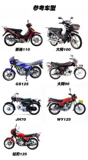 MANMANG eignet sich für Motorrad Wyjh70dy100 Diamond Leopard Rückspiegel Saichi QS110GS12590 Reflektierender Umkehrungsumkehrungs -Diamant -Leopard 125 -Umkehrspiegel