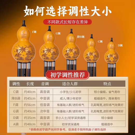 西马格乌木葫芦丝c调旗舰店品牌降bfg调专业演奏级初学者成年人高端乐器 【黑檀乌木管】C调+赠品