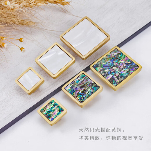语森忆黄柜门把手衣柜抽屉柜门贝壳高端五金拉手 GBT12178C花贝一对_直径120mm孔