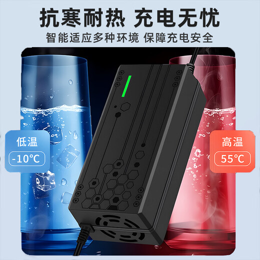 Electric vehicle battery charger is suitable for Amayadi Xinri Tai bell pocket knife three-wheel 48V12AH60V20AH battery lead-acid universal T-type 48V20Ah universal T-type plug