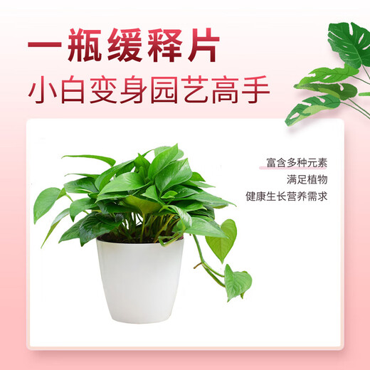 Aishangke home gardening household plant slow-release fertilizer universal nitrogen, phosphorus and potassium slow-release tablets indoor potted organic fertilizer 22 tablets * 1 bottle Huamanchu slow-release tablets