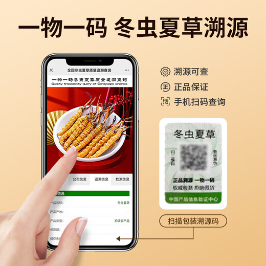 同芙 冬虫夏草4根/g 40根礼盒装 滋补营养补品送长辈礼物