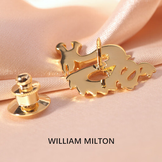 WILLIAM MILTON French light luxury iris brooch men's exquisite collar pin-like corsage gift box Longyao Jinyang_brooch
