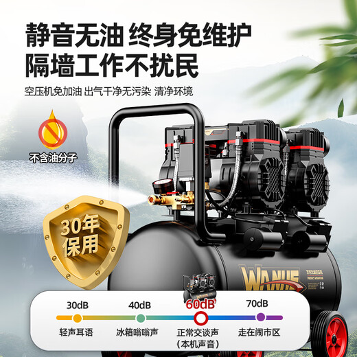 Jiang Zhiai Air Compressor Small 220v Industrial Grade Oil-free Silent Portable Woodworking Air Pump High Pressure Air Pump Air Compressor 3890W-70L [LCD Digital Display Dual Motor]