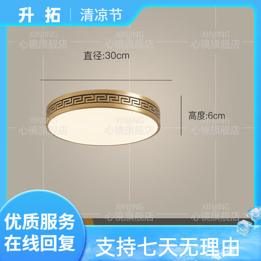 心镜全铜吸顶灯别墅入户灯室外防水阳台灯庭院过道走廊超薄防蚊虫顶灯 X3891-300/圆形