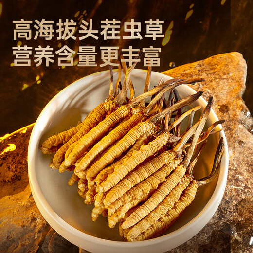 阿依舍西藏野生冬虫夏草约5根/g10克约50根那曲虫草礼盒滋补品送礼