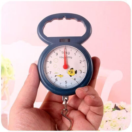 Electronic scale portable high-precision household weighing 150 Jin Jin is equal to 0.5 kg Mini spring scale high standard electronic scale accurate can weigh 100 Jin Jin is equal to 0.5 kg + battery