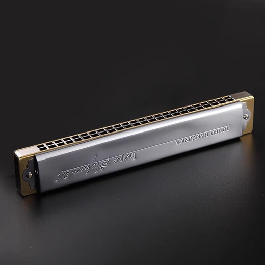 Tongbao Japaner Tongbao Marmonica 6624s Sammlung Modell Metallkupfer Grid 24 Loch Polyphonische C -Melodie Professionelle Instrumente #C -Melodie [Metallkupfergitter] #f Melodie