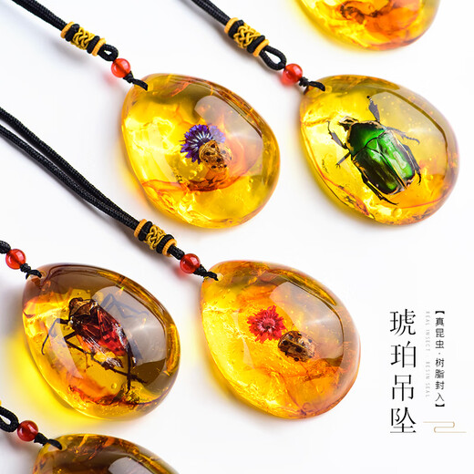 Qutao real live insect specimen amber pendant for men and women creative personality scorpion spider butterfly necklace bag trailer hanging jewelry 01# Spotted wax cicada
