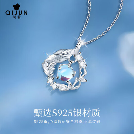 Qijun Blue Eucalyptus and Bird S925 Silver Necklace Girls Silver Pendant Anniversary Birthday Gift for Girlfriend and Wife