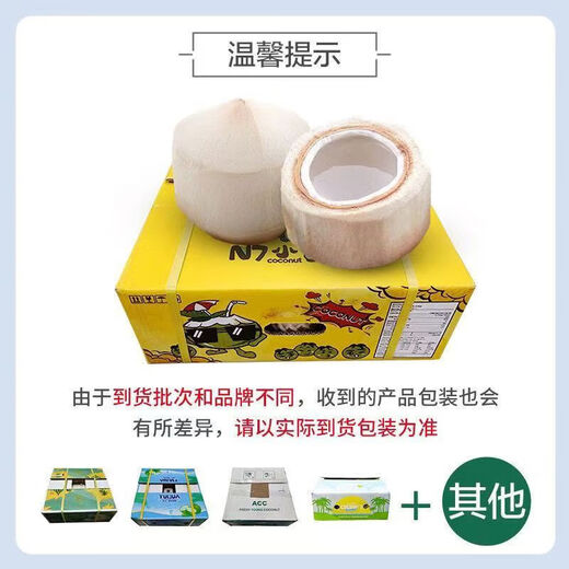 Thailand imported perfume coconut green milk fragrance fresh fruit coconut extra large fruit seasonal fruit 2 pieces/(single fruit 900-1200g)