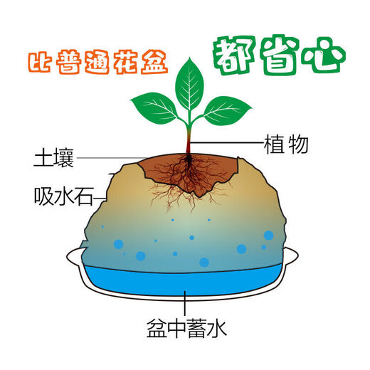 Absorbent stone flower pot, natural strange stone, absorbent stone, water-absorbing stone, raw stone stone pot, calamus succulent potted plant, bonsai micro-scape, 10-12cm stone pot + round base + grass seeds