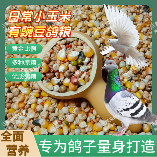 New pigeon food 20 Jin Jin is equal to 0.5 kg. Corn-free pigeon food has corn. Pigeon feed racing nutrition. Pigeon food for adult and young pigeons. 5 Jin Jin is equal to 0.5 kg. Pigeon food with corn and peas. 10 Jin Jin is equal to 0.5 kg.