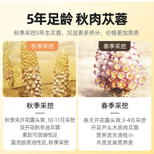 Cistanche, Inner Mongolei Sondergrad, Cistanche, in Scheiben geschnitten, Epimedium, Jingdong Express, schneller und besser, Cistanche, 250g [ausgewählte ölige Tabletten]