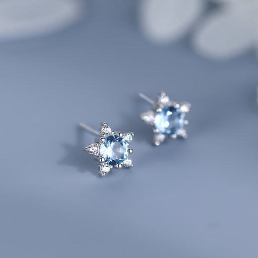 Xiangnan 925 sterling silver five-pointed star earrings for women ins niche light luxury 2025 new high-end earrings earrings fresh and sweet 925 silver five-pointed star earrings (pair)