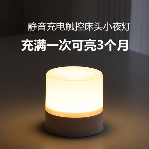 充电触摸拍拍小夜灯婴儿喂奶换尿布台灯床上睡眠宿舍酒吧定制露营 2500mAh正白光 充插两用长续航