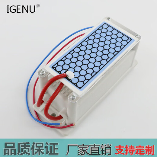 Aijenu 10g ozone generator power supply accessories ozone machine disinfection oxygen machine factory food workshop odor removal formaldehyde 220V5g (recommended by the store manager)