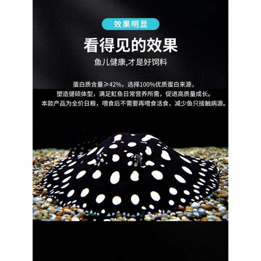 Hi-Pi Fish Stingray Feed Sinking Fish Food Special Fish Food for Stingrays Black and White Crown Pearl Red Rainbow Fish Sinking to Add Color 1 Bottle of Stingray Full Price Diet + 20g*2 Packs of Arowana Fish Food