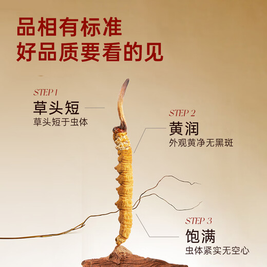 阿依舍冬虫夏草滋补送礼 断虫草 送父母长辈实惠家庭滋补自用礼盒 大号断草20克【高性价比滋补】