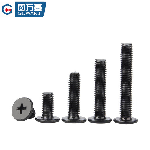 Guwanji 304 stainless steel black cross flat head screws CM large flat head thin head computer screws M2-M6 M2*2 200 pieces
