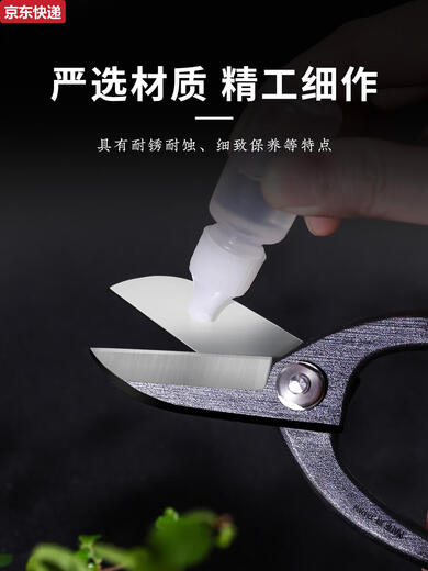 Qili Caichifang Japanische Blumenschere Künstler Verbundstahl Farne Handschere Blütenarrangement Schere Werkzeug Haushalt Gartenblüte Blumenschere importierte Leche Yusheng Blumenschere Schnitt RK-9926