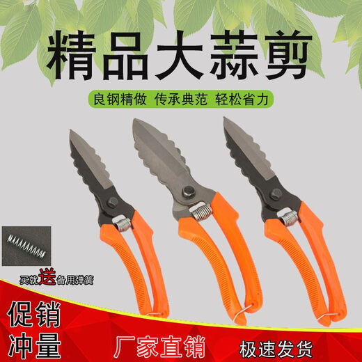 Diaohuang special scissors for cutting garlic, garlic scissors, garlic root scissors, garlic scissors, garlic scissors, green onions, ginger and onion scissors, 1 pair
