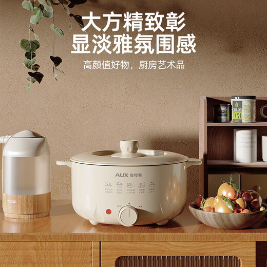 Pot chaud électrique pour ménage multifonction 4L Capacité Dormitory Dormitory antiadhésive Pot de cuisson électrique cadeau Nouveau style Acheter 1 WXY6627 OAKS 6L Pot chaud électrique