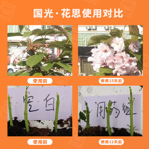 Guoguang Guoguang Huasi benzylaminopurine cytokinin rose citrus fruit tree flower fruit expansion promotes flowering and bursting buds wholesale Guoguang Huasi 25 ml * 10 bottles